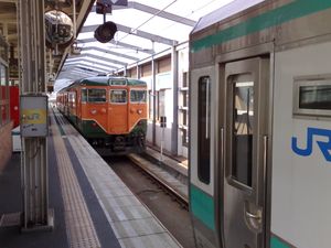 히가시마이즈루 역에서 같은 선로를 공유하는 두 대의 열차