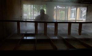 두부피 제조 공장에서 작업자가 작은 양동이에서 두부피를 걷어내 말리는 모습