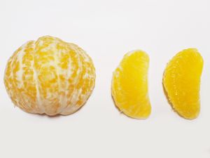 하사쿠 귤의 속살