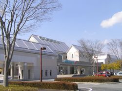 기비 고원 도시