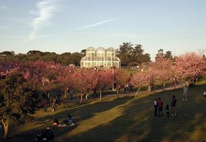 쿠리치바 식물원(Botanical Garden of Curitiba)