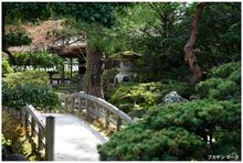 오이케니와의 수로 반대편에 위치한 지진덴이 중앙에 조금 보인다.