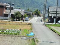 근교농업이 이루어지고 있는 농도