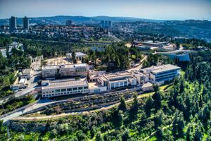 야드 바솀 전경