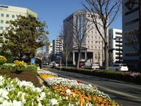 하마마츠 시청 주변(히로코지 거리)