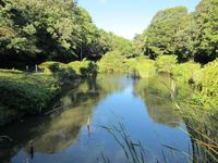 아리타마 녹지공원