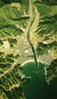 1975년 당시 무기정 중심부