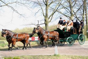 1887년 브루스터사가 제작한 공원용 마차