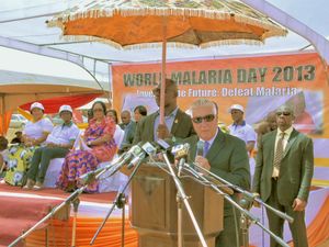 2013년 가나 아덴타에서 열린 세계 말라리아의 날