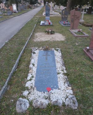 제네바, 스위스의 쁘띠-사콩넥스 묘지에 있는 프리드만의 묘