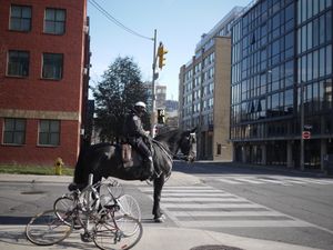 2013년 토론토 패션 지구에서 순찰 중인 토론토 경찰청 기마대 기수