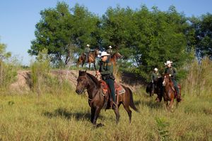 미국 국경 순찰대(United States Border Patrol) 요원들이 텍사스에서 말을 타고 순찰 중이다.