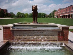 카나한 사각형의 타이거 광장