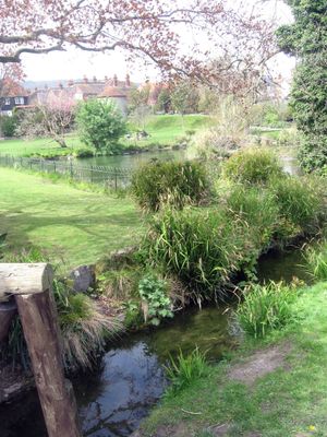 모트콤 정원을 가로지르는 본 스트림