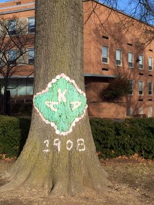 하워드 대학교 본관 잔디밭에 있는 알파 카파 알파(Alpha Kappa Alpha) 나무