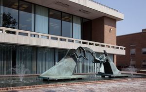 A Bridge Across and Beyond