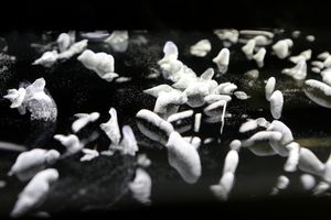 증기압이 평형 값을 초과하면, 과포화되어 이용 가능한 핵생성 자리(예: 먼지 입자)에 응축된다. 이 원리는 운방에서 사용되는데, 방사선 입자는 물방울 형성의 핵생성을 유도하기 때문에 시각화된다.