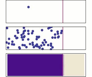 확산은 큰 수의 법칙의 한 예이다. 처음에는 용질 분자가 장벽 왼쪽에만 존재하지만, 장벽 제거 후에는 전체 용기로 퍼져나간다. 분자 수가 적을 때는 움직임이 무작위적으로 보이지만, 분자 수가 매우 많아지면 무작위성이 사라지고 농도가 높은 곳에서 낮은 곳으로 이동하는 결정론적인 현상처럼 보인다.