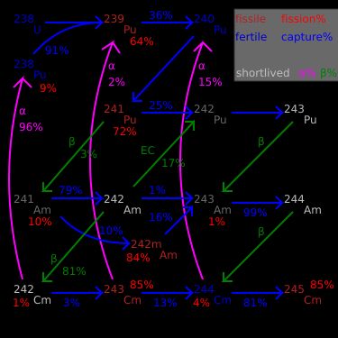 현재의 열중성자 원자로에서 중성자 포획과 붕괴를 통해 생산되는 무거운 초우라늄 악티늄족 원소. 고속 중성자 증식로에서는 이러한 모든 동위원소를 연료로 사용할 수 있다.