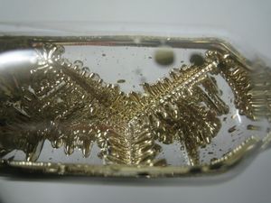 유리 앰풀에 담긴 Y자 모양의 황색 결정, 소나무 가지처럼 보임