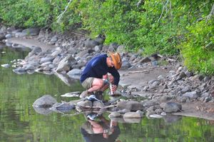 수동으로 채취한 물 시료를 분석을 위해 여과하는 모습
