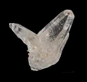 수정의 일본식쌍정