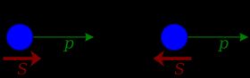 왼손성 및 오른손성 입자: p는 입자의 운동량이고 S는 스핀이다. 상태 간의 반사 대칭성이 없음에 유의해야 한다.