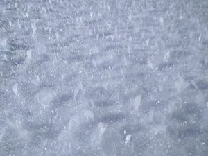 눈 위에 맺힌 상고대