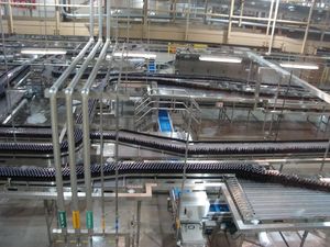 맥주 병입 라인