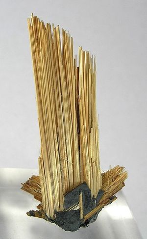 브라질 바이아(Bahia)산, 길이 약 6cm의 적철석 위에 에피택시 성장한 루틸