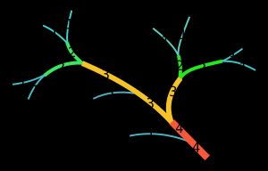 각 지류의 스트라흘러 수가 표시된 하천의 예시도.