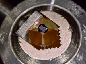 수지에 매립된 세포(검정색) 시료. 사산화오스뮴과 초산우라닐로 염색되었으며 절단 준비가 완료됨.