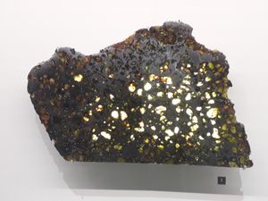 철 성분에 감람석 결정이 박혀 있는 에스켈(Esquel) 운석의 일부분. 에스켈은 팔라사이트 운석이다.