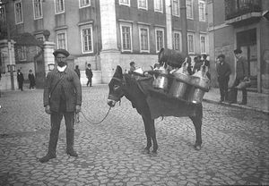 리스본의 기름 장수, 1900년경