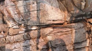 평안 누층군의 조립질사암