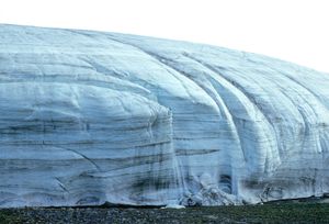 m}} 높이이다. Borup Fiord, Grant Land, 엘즈미어섬, 1978년 7월