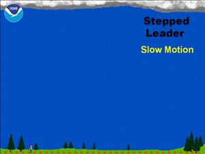 하향 리더가 가지를 치며 지면으로 향한다.