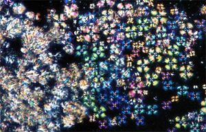 네마틱(왼쪽)과 스멕틱 A(오른쪽) 상 사이의 상전이(교차 편광판 사이에서 관찰됨). 검은색은 등방성 매질에 해당합니다.