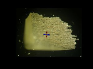 회전 편광자(또는 분석기)를 사용하여 관찰한 이중굴절 루틸