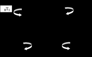 두 시점의 토로이달 0T1 진동의 운동 방향