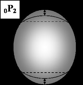 구면 진동 0S2의 운동 모식도. 점선은 절점(영점) 선을 나타내고, 화살표는 운동 방향을 나타낸다.