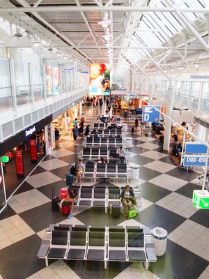 터미널 1D 탑승구 지역