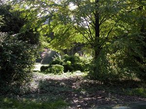 워싱턴 파크 수목원에 있는 1911년 린 스트리트 수도교