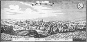 1655년 마테우스 메리안(Matthäus Merian)의 Topographia Hassiae에 나오는 비스바덴의 모습