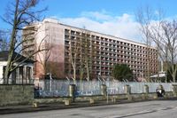 아멜리아 얼하트 콤플렉스