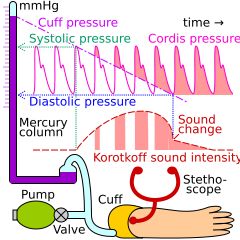 수은혈압계를 이용한 수축기 혈압 및 이완기 혈압 측정