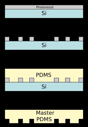PDMS 마스터 제작