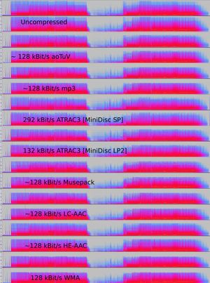 압축 전과 각종 비가역 압축을 적용한 동일한 음악의 스펙트로그램 비교. 비가역적이기 때문에 압축 전과 압축 후의 스펙트럼이 다르다. 그러나 그렇다고 해서 음질 저하를 판별할 수 있는 것은 아니다.