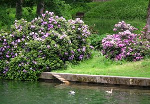 풀다 성궁 정원