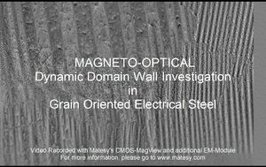 방향성 전기규소강의 전자기적 동적 자기 도메인 운동